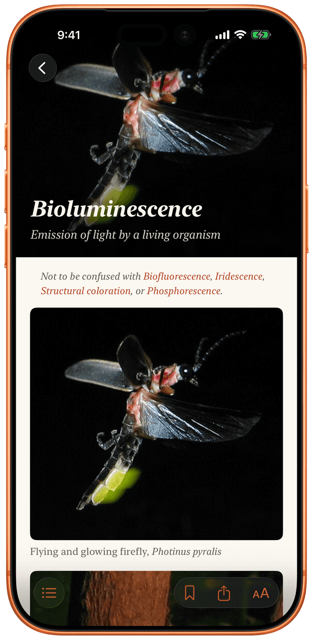 See Also on iPhone: an article cover for Bioluminescence, with a full-bleed photograph above the title set in Cormorant.